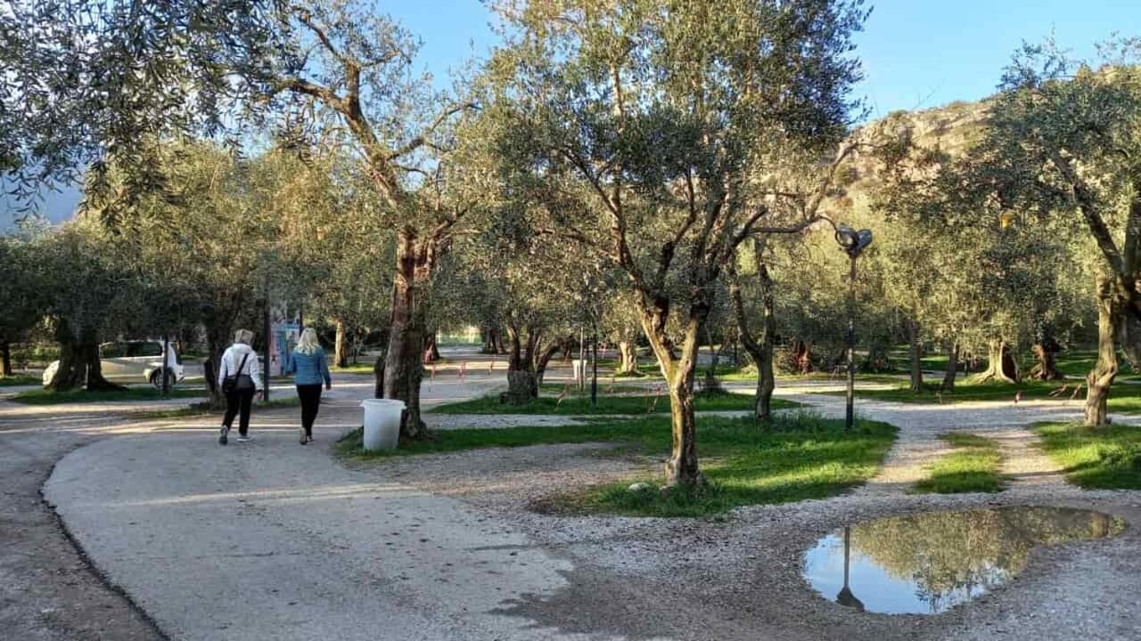 לינה וארוחת בוקר טורבולה Casa Nataly מראה חיצוני תמונה